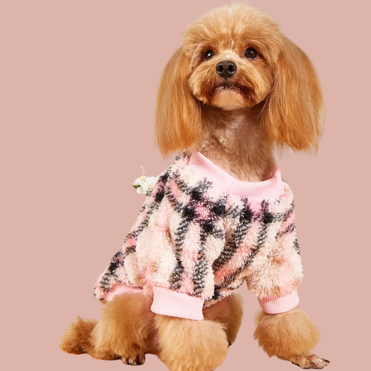 Totem Style Dog Jumper