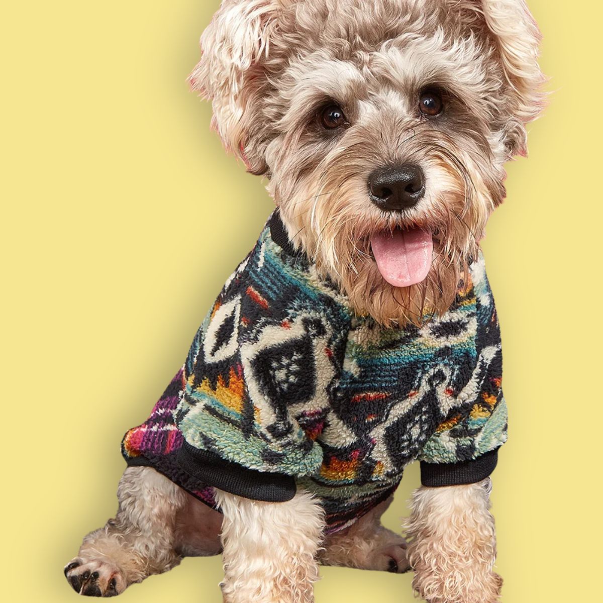 Totem Style Dog Jumper