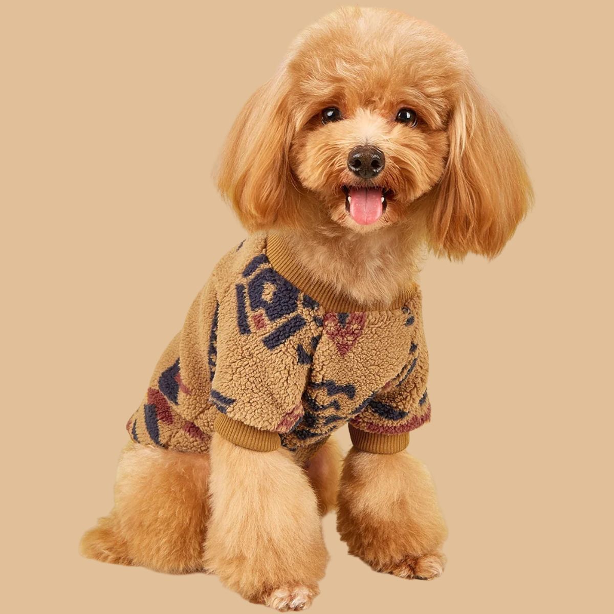 Totem Style Dog Jumper