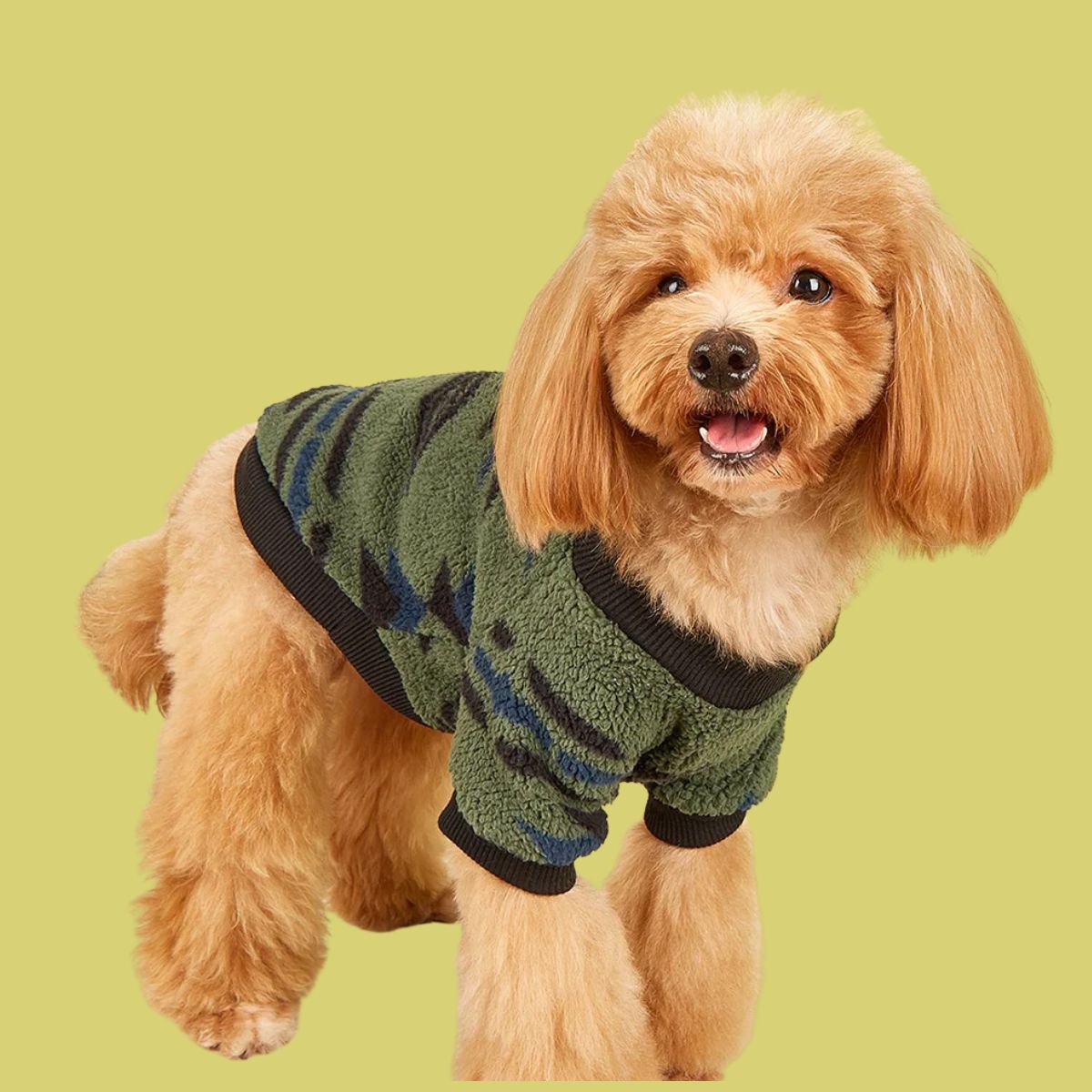 Totem Style Dog Jumper