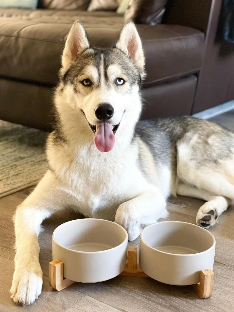 Premium Ceramic Pet Bowls with Wooden Stand